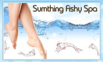 Sumthing Fishy Spa Rajouri Garden - Pay Rs 265 for a relaxing fish foot spa session worth Rs 480 at Sumthing Fishy Spa.