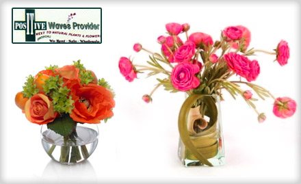 Positive Waves Provider Vastrapur - Pay Rs 49 and get 70% off on Artificial Plants & Flowers at Positive Waves Provider.