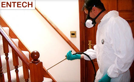 Entech Kukatpally - Pay Rs. 345 for cockroaches, spiders, flies, red - black ants pest control service worth Rs. 1500 at Entech.