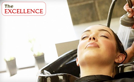 The Excellence Andheri West - Rediscover yourself! Pay Rs 599 for Hair wash, Cut, Power Dose Treatment, Facial, and more worth Rs 4500 at The Excellence.