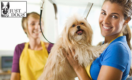 Just Dogs Spa Nehru Nagar - Complete Pet care! Pay Rs 239 for Pet Grooming Services worth Rs 450 at Just Dogs.