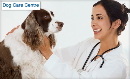 Dog Care Centre Darbhanga Colony - Pay Rs. 349 for Consultation, Hair Cut, SPA/Tick Bath, Nail Clipping & Grinding worth Rs. 1500 for your dog at Dog Care Centre.