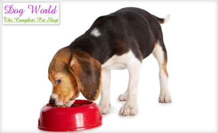Dog World Vaishali Nagar - Pay Rs. 49 to get 50% off on dog food at Dog World Pet Bazaar.