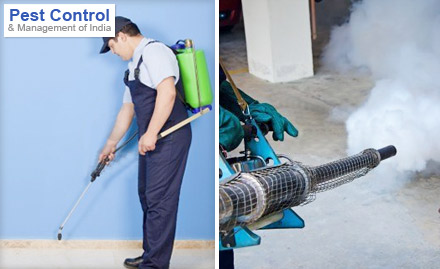 Pest Control And Management Of India Court Road - Pay Rs. 449 to get Pest Control Services worth Rs. 1500 at Pest Control & Management of India. Also get 18% off on Anti-Termite treatment.