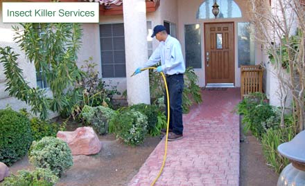 Insect Killer Services Bani Park - A healthy and hygienic home! Pay Rs. 499 for pest control services worth Rs. 1200 at Insect Killer Services.