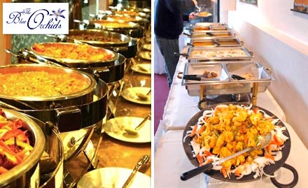 The Blue Orchids Jubilee Hills - Relish the Lavish Spread! Get 15% off on Lunch 
