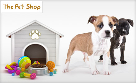 The Pet Shop Roy Bahadur Road - Adore and Adorn Puppies,Get 35% off on Puppies & Dog Accessories