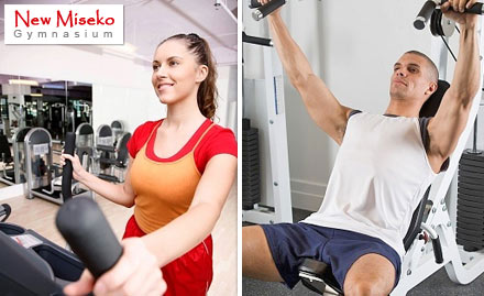 Miseko Gymnasium Makarpura GIDC - Stay Fit and Healthy , get 5 gym sessions at Rs 29