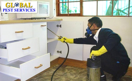 Global Pest Services Panvel - Get a Healthy and Hygienic Home! 60% off on Pest Control Services