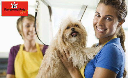 Pampered Pets Budh Vihar Phase 2 - Complete Pet Grooming & Nourishment! Avail upto 20% off on Pet Food & Grooming Services  