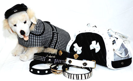 Pet Paradise Hazra Road - Puppies Are Adorable, get 30% off on pet accessories items & puppies 
