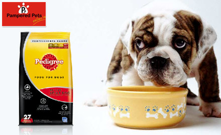 Pampered Pets Budh Vihar Phase 2 - For your Non-Speaking Friend! Get upto 20% off on Dog Food