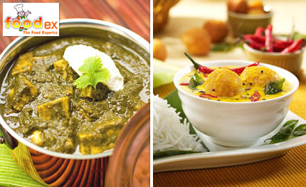 Foodex Bopal - Dine in Your Style! 30% off on Total Bill at Rs. 19