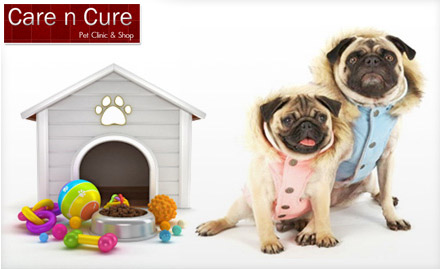 Care n cure Baguiati - Windfall For Pet Lovers! 30% off on Puppies & Pet Accessories at Rs. 29