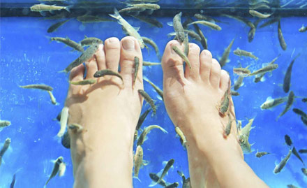 Dr. Fish Foot Spa Tajganj - Rs 549 for Fish Therapy, Foot Massage & Manicure or Pedicure. It's Rejuvenation Time!