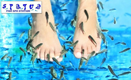 Spaqua Fish Spa Station Jagat Banerjee Ghat Road - Rs 179 for Fish Spa Therapy & Feet Moisturization. 