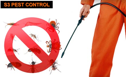 S3 Pest Control Villivakkam - Rs 499 for Pest Control Services. Eliminate the Creepy Crawlies!