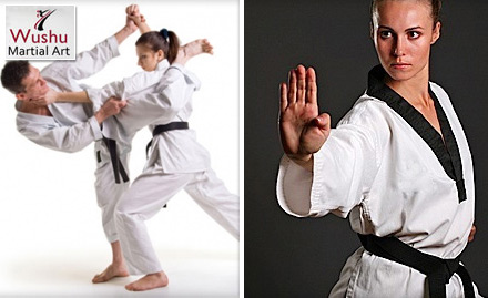 Wushu Martial Arts Ashiana More - 5 Sessions of Martial Arts