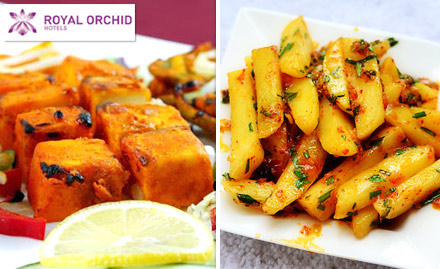 Salsa - Hotel Royal Orchid Nanakramguda - Pay Rs 19 to get 20% off on Food bill. Enjoy sizzling delights!  