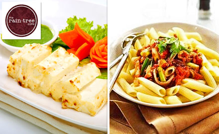 Raintree Cafe – Suramya Abode Sarkhej - 25% off on Total Bill. Enjoy Innovative Gastronomical Experience! 