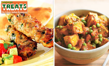 Tandoori Treats Sripuram - 15% off on food bill. Sizzling Tandoori  delights on platter!