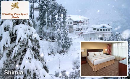 Whistling Pines Resort Shimla - It's serene Shimla! Enjoy a luxurious 3D/2N Stay for couple