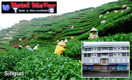 Hotel Mayor Siliguri - Get second night stay absolutely free with welcome drink, breakfast & fruit basket!