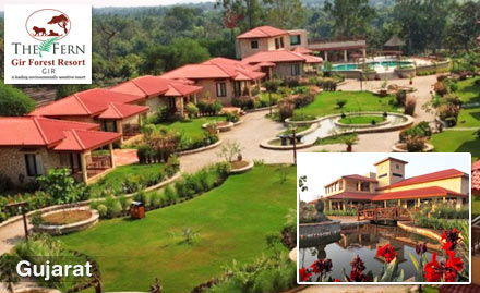The Fern Gir Forest Resort Junagadh - 35% off on room tariff at Rs 19. Experience a comfortable stay at Gir!