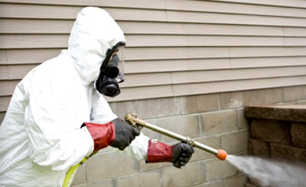 Aman Pest Control Lajpat Nagar 4 - Rs 19 to get 20% off on pest control services for 2 BHK