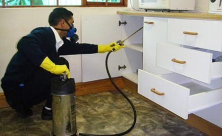 Pest Control Bank Doorstep Services - Rs 499 for herbal & non herbal pest control services at your doorstep