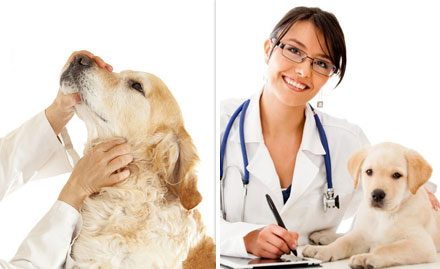 Hiyaa's Animal Clinic Beltola Tiniali - Get 25% off on veterinary consultation. Also get 10% off on pet accessories!