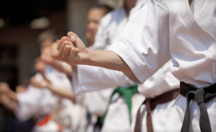 Shito Ryu Seiko KAI Karate Do Moti Jheel - Get 50 karate sessions for just Rs 49!