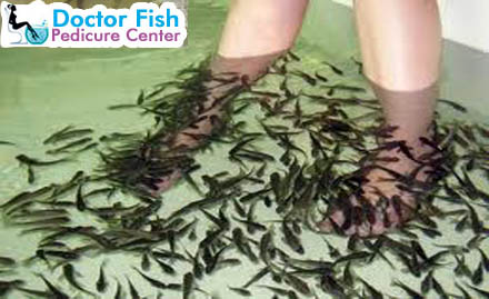 Doctor Fish Pedicure Centre Basaveshwar Nagar - Pamper your feet with fish pedicure treatment at just Rs 109
