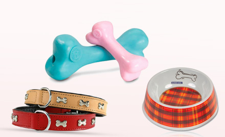 Doggy Club Dum Dum - Get 30% of on pet accessories!