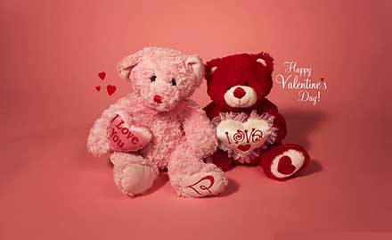Red Moments Kamala Nagar - 25% off on mugs, soft toys and general gift items. Shop for Valentine's Day!