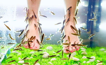 Preranas Beauty Salon & Spa Kukatpally - 30% off on all fish pedicure services. Also get foot massage at Rs 50!