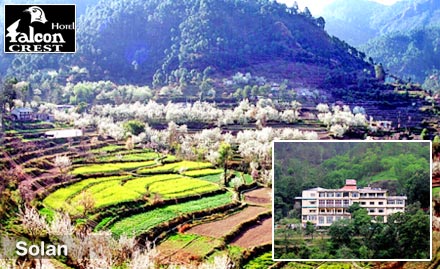 Hotel Falcon Crest Kandaghat, Solan - 45% off on room tariff. Have a date with nature!