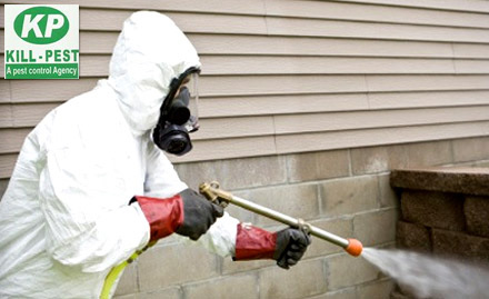 Kill Pest Home Services - Rs 19 to get 30% off on pest control services. Effective treatments for your home & office!