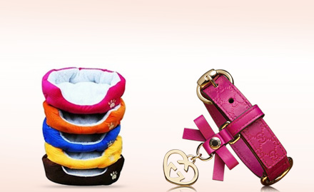 Relation Pet Shop Behala - Upto 20% off on pet accessories and food!