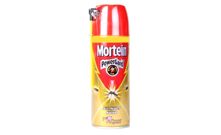 Reckitt Benckiser Big Bazaar Outlets - Free Dettol soap (75 gms) with Mortein All Insect Killer Spray (225 ml). Valid at all super markets.