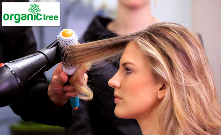 Organic Tree Salon DLF Phase 4, Gurgaon - Herbal hair conditioning, hair trim, hair wash and more at Rs 400. Flaunt the smooth, silky and gorgeous hair!
