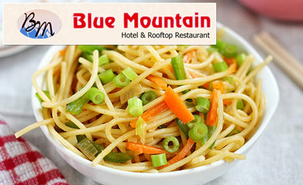 Blue Mountain Restaurant Rampura Choraha - 20% off on total bill. Enjoy pure veg Chinese and North Indian cuisines!