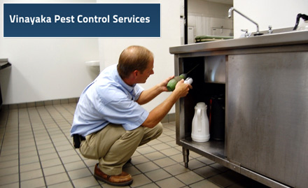 Vinayaka Pest Control Service Doorstep Services - 30% off on pest control services!