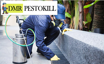 Dmr Pestokill Doorstep Services - 35% off on pest control services at your doorstep. For a pest free living!