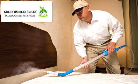 Green Home Service Gomti Nagar - 30% off on pest control services. 