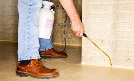 Forever Pest Control Doorstep Services - 50% off on pest control services at your doorstep!