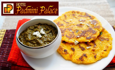 Padmini Restaurant Gulab Bagh Road - 25% off on food bill. Enjoy Punjabi, Chinese & Rajasthani cuisine!