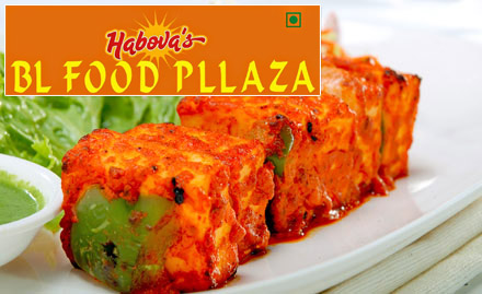 Habovas BL Food Plaza Sikandra - 25% off on total bill. Enjoy North Indian, Chinese & Continental cuisine!