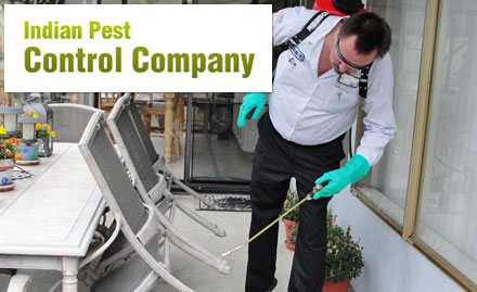 Indian Pest Control Doorstep Services - 20% off on pest control services. For a safer and healthier place!