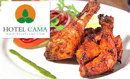 Punchin - Hotel Cama Phase 3A - 20% off on food bill. Relish North Indian, Chinese & Continental delicacies!